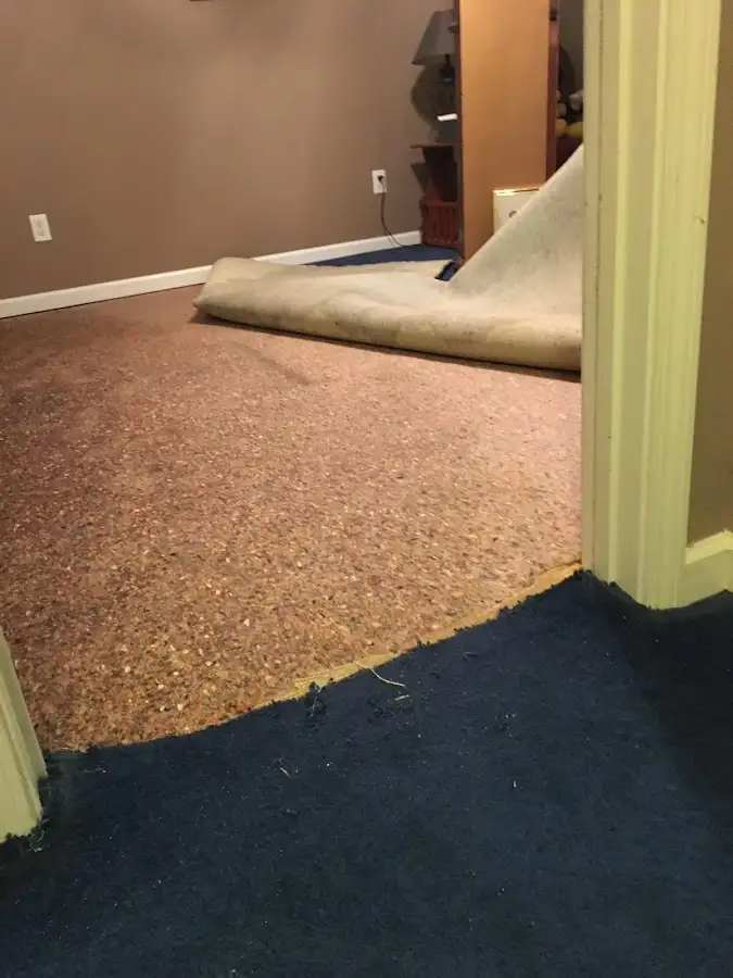 Carpet pad removal revealing water damage during Water Mitigation Services in Sayreville